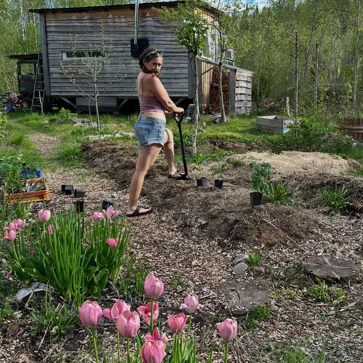Humble Habitat