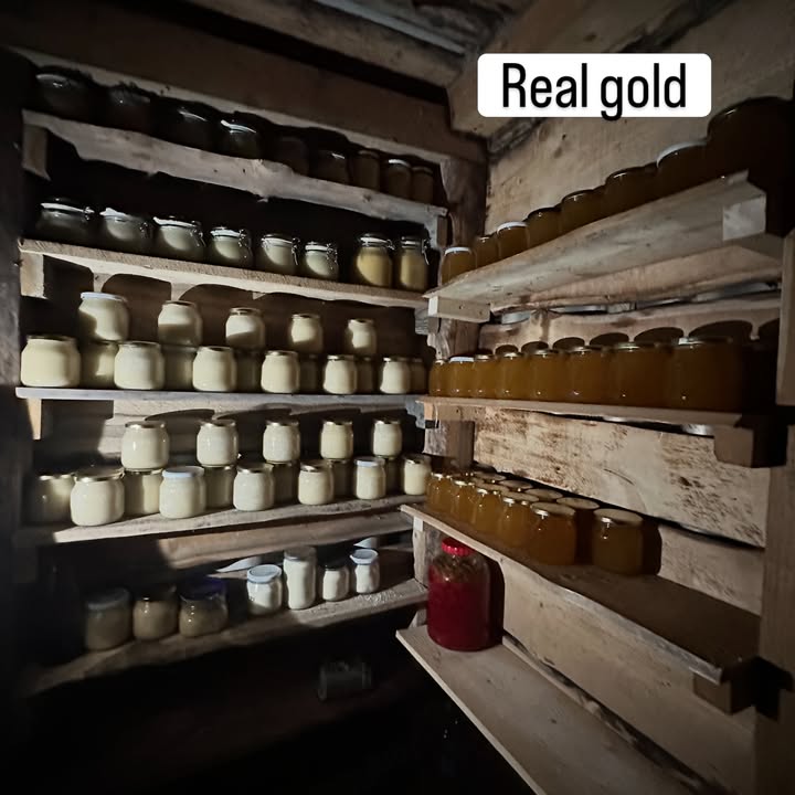 Humble Habitat