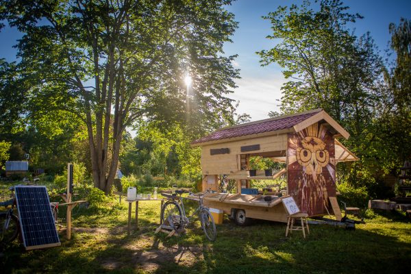 market wagon morning